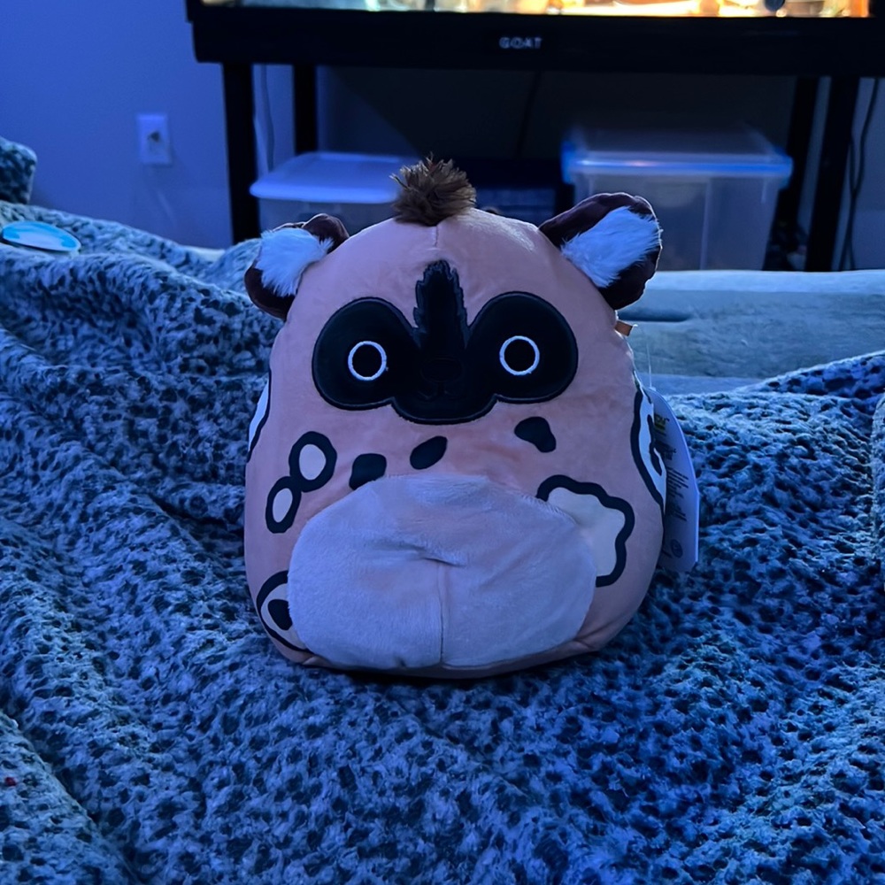 Cute Squishmallow